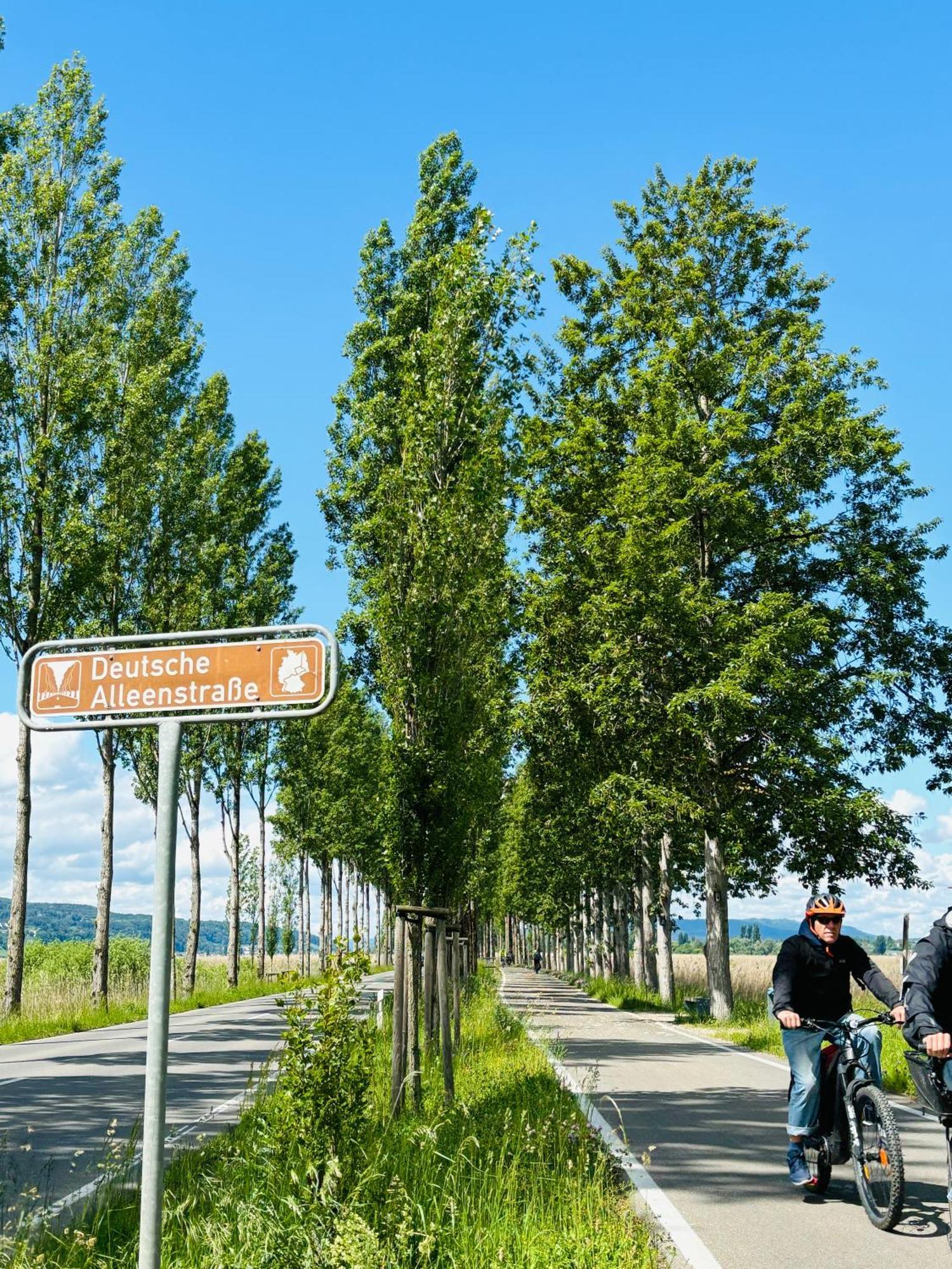Lake View 110Sqm In/Outdoor Living Entire Apartment With 2 Bedrooms Reichenau Buitenkant foto
